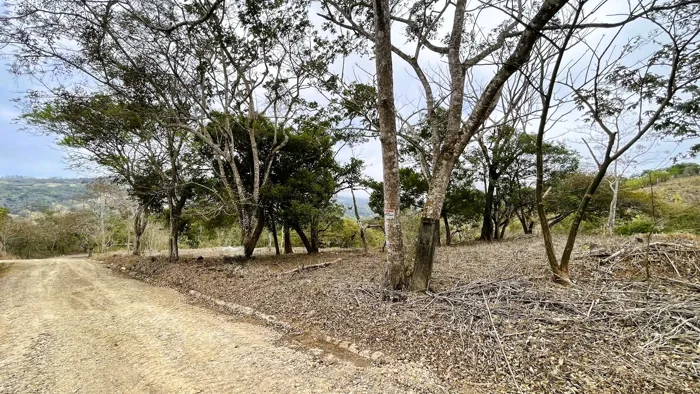SE VENDE LOTE EN SAN PEDRO, SAN RAMON en San Isidro, San Ramón, Alajuela — $78,000 - Foto 3 de 39