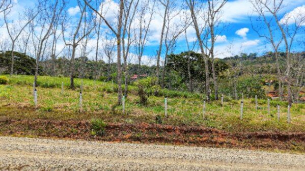 VENTA DE LOTE PREMIUM DE 1.873 M2 EN SANTA ROSA, PEREZ ZELEDON in San Isidro De El General, Pérez Zeledón, San José — $55,999