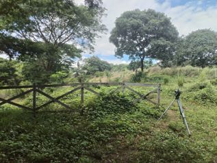 Lote Abangares, Guanacaste en Las Juntas, Abangares, Guanacaste — 35 000 000 ₡ - Foto 3 de 7