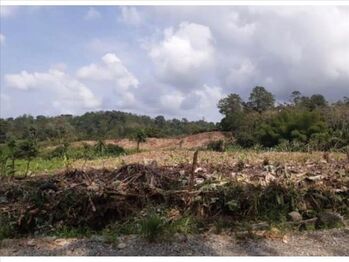 Farm For Sale Limón, Limón, Limón