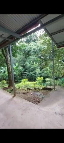 SE VENDE BELLÍSIMA QUINTA EN TURRUCARES DE ALAJUELA.  in Turrúcares, Alajuela — ₡ 70 000 000