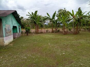 LOTE EN VENTA CON ACCESO A RIO SIERPE POR AUTOMOVIL O BOTE en Sierpe, Osa, Puntarenas — $80,000 - Foto 4 de 6