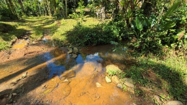 FINCA PRODUCTIVA EN VENTA – PUEBLO NUEVO DE CAJÓN, PÉREZ ZELEDÓN en Cajón, Pérez Zeledón, San José — $240,000