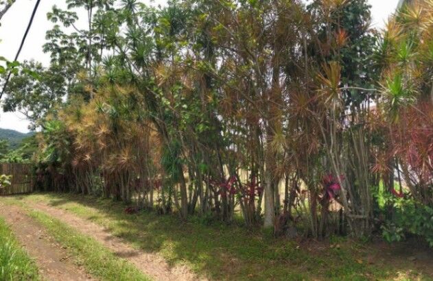Venta de Lote en Mora-Colón, San José. RAH 26-551 PRECIO REBAJADO in Colón, Mora, San José — $119,000