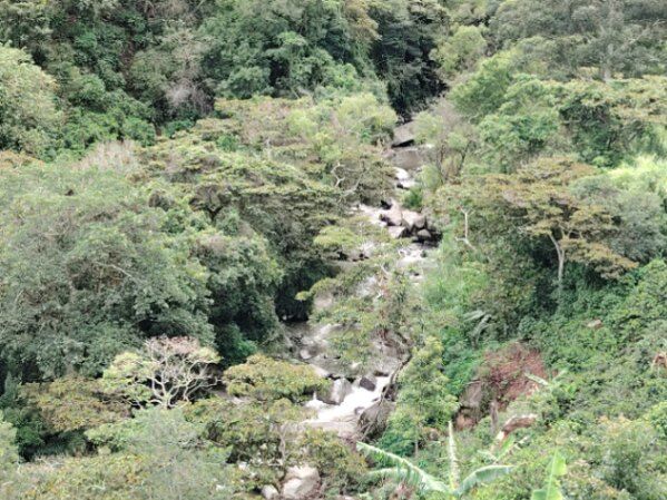 Quinta en Dota en Santa María, Dota, San José — ₡ 75 000 000