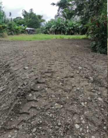 Lote en Guaycará, Golfito, Puntarenas — ₡ 500 000