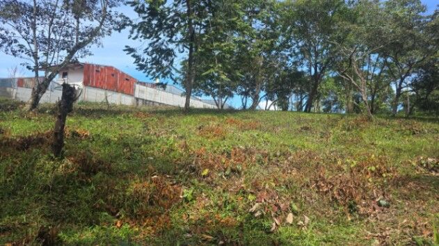 Lote en Pavones in San Isidro De El General, Pérez Zeledón, San José — ₡ 600 000 000