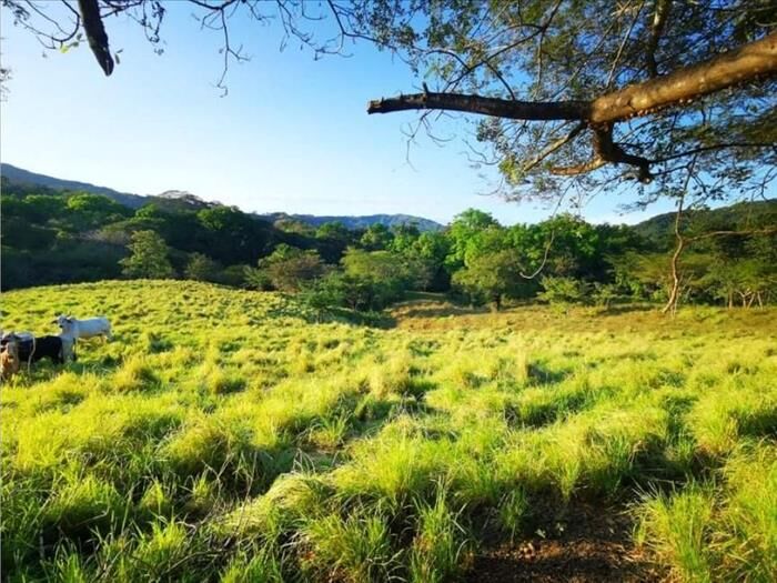VENTA DE FINCA, PUNTARENAS, MONTAÑA GRANDE, LEPANTO en Lepanto, Puntarenas — $210,000