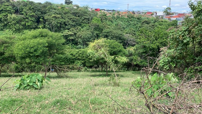VENTA TERRENO DE DESARROLLO, SAN JOSE, GUADALUPE, PURRAL in Guadalupe, Goicoechea, San José — $702,000 - Photo 3 of 15