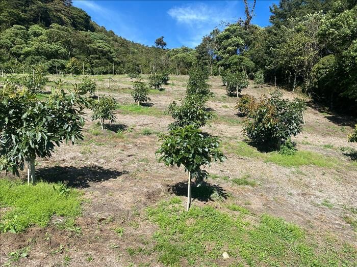 Finca en el Guarco de Cartago in El Tejar, El Guarco, Cartago — $1,800,000