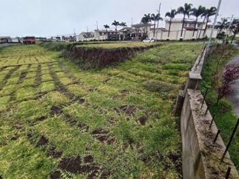 Se vende lote con oportunidad de inversión en San Pablo Heredia 25-868 in San Pablo, Heredia — 79 500 000 ₡ - Photo 5 of 12