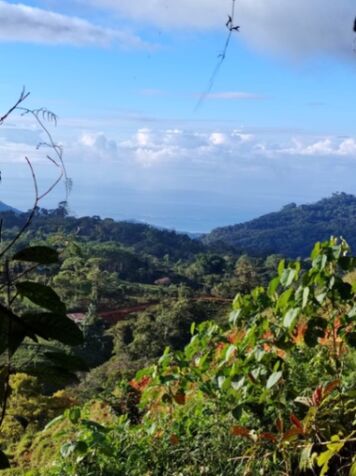 Venta de finca  en San Isidro De El General, Pérez Zeledón, San José — $1,500,000