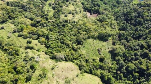 BEAUTIFUL LAND FOR SALE IN GENERAL VIEJO (25 HECTARES) in El General, Pérez Zeledón, San José — $450,000