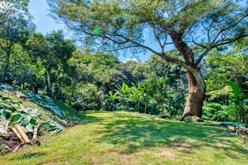 Venta de Lote de Desarrollo en Bosques de Mora en Colón, Mora, San José — $350,000 - Foto 3 de 16