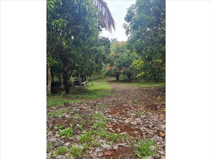VENTA DE FINCA, GUANACASTE, SANTA CRUZ, RETALLANO in Santa Cruz, Guanacaste — $575,000