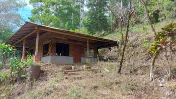 Finca en venta en La Tigra, San Carlos, con riachuelo en La Tigra, San Carlos, Alajuela — $89,000 - Foto 5 de 26