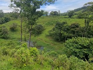 FOR SALE: RESIDENTIAL AND AGRICULTURAL LOT, HEREDIA, SARAPIQUÍ in La Virgen, Sarapiquí, Heredia — 20 000 000 ₡ - Photo 5 of 5