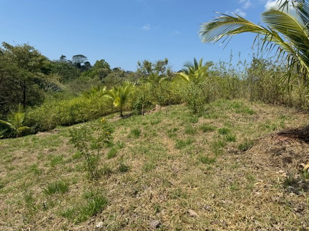 Lote en Comunidad Orgánica y Regenerativa en San Isidro in Cóbano, Puntarenas — $140,000 - Photo 2 of 6