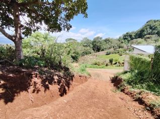 Venta de lote de 5.117 m2 en San Isidro, Pérez Zeledón in San Isidro De El General, Pérez Zeledón, San José — 75 000 000 ₡ - Photo 5 of 11