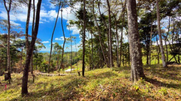 SE VENDE LOTE EN EXCLUSIVO PROYECTO CON HERMOSAS VISTAS A LA MONTAÑA in San Isidro De El General, Pérez Zeledón, San José — $44,000