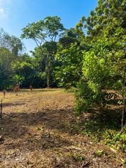 Se vende terreno de 3000 m² a 5 min de Puerto Vargas, Cahuita (PA) in Cahuita, Talamanca, Limón — $240,000 - Photo 5 of 7