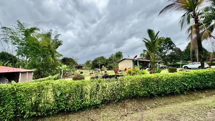VENTA DE HERMOSA FINCA EN LA TIGRA SAN CARLOS en La Tigra, San Carlos, Alajuela — ₡ 84 000 000 - Foto 3 de 26