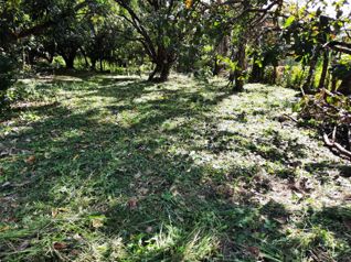 Venta de Terreno 1000 M², San Mateo, Alajuela