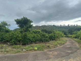 Venta - Finca la Cancha (70,000 m2) - San Luis, Santo Domingo in Santo Domingo, Heredia — $5,100,000 - Photo 5 of 23