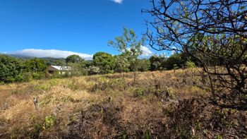 Land For Sale In Los Ángeles, Grecia Costa Rica – Flat Lot in San José, Grecia, Alajuela — 75 000 000 ₡ - Photo 3 of 7