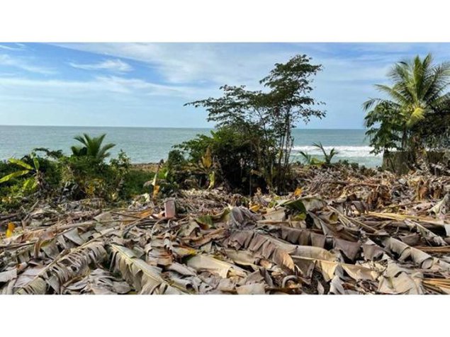 ALQUILER DE LOTE, LIMÓN, CANGREJOS en Limón — ₡ 1 000 000
