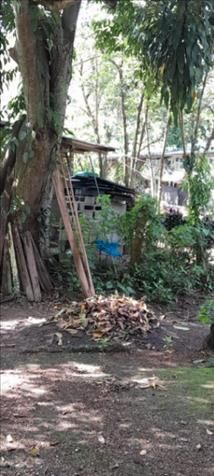 Se vende propiedad CON granja Avícola  in Laurel, Corredores, Puntarenas — ₡ 65 000 000