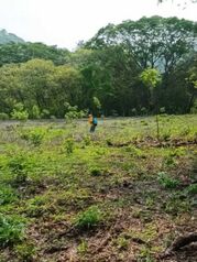 Venta de Lote en Nicoya-San Antonio. RAH 25-1377 en San Antonio, Nicoya, Guanacaste — 30 000 000 ₡ - Foto 4 de 11