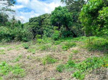 ¡Oportunidad única! Se vende terreno en Santa María de Dota, El Jardín en San Marcos, Tarrazú, San José — 22 000 000 ₡ - Foto 5 de 9