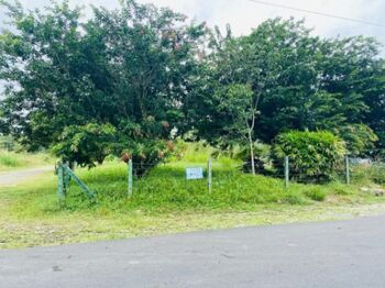 Propiedad a la venta en Guapiles en Guápiles, Pococí, Limón — 40 000 000 ₡ - Foto 4 de 7