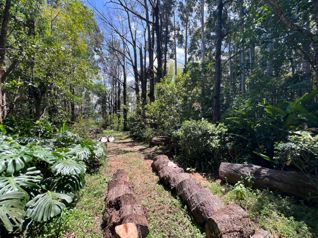 Terreno único rodeado de naturaleza en San Rafael de Heredia en Concepción, San Rafael, Heredia — $315,000 - Foto 5 de 13