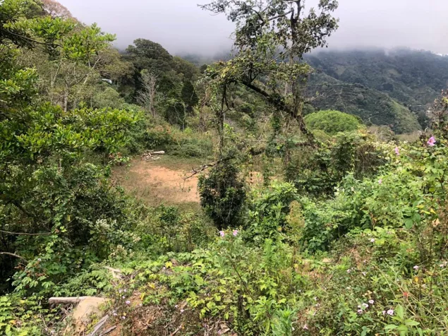 Se vende lote Tarbaca, San Jose, Costa Rica en Tarbaca, Aserrí, San José — $262,150 - Foto 3 de 6