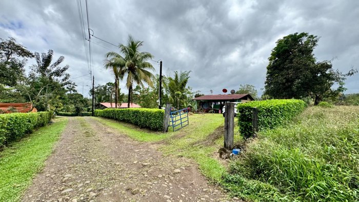 VENTA DE HERMOSA FINCA EN LA TIGRA SAN CARLOS en La Tigra, San Carlos, Alajuela — ₡ 84 000 000