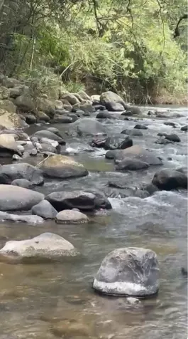 Hermosa propiedad en San Ramón con 5 pozas naturales en Jacó, Garabito, Puntarenas — ₡ 125 000 000 - Foto 2 de 4