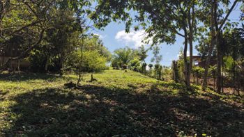 VENTA DE CASA CON LOTE DE 3.494 M2 EN TRES RIOS DE VOLCAN, BUENOS AIRES DE PUNTARENAS en Volcán, Buenos Aires, Puntarenas — $95,000 - Foto 5 de 24