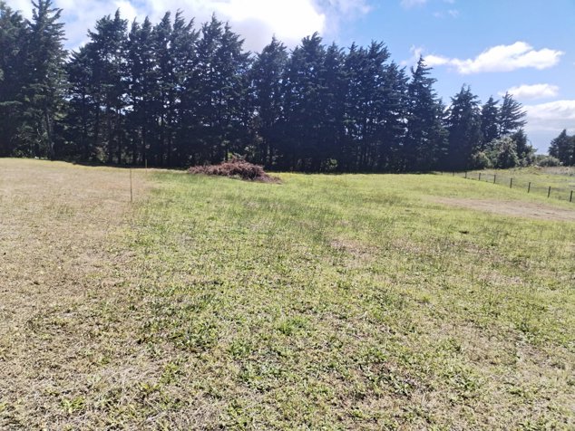 Exclusive Estates in San Juan de Poás – 2,000 m² for Only $85/m² in San Pedro, Poás, Alajuela — $171,000