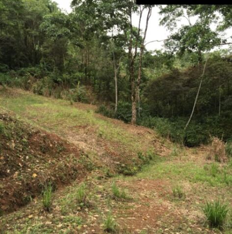 TERRENOS EN PARCELAS  en Pavones, Turrialba, Cartago — ₡ 14 500 000