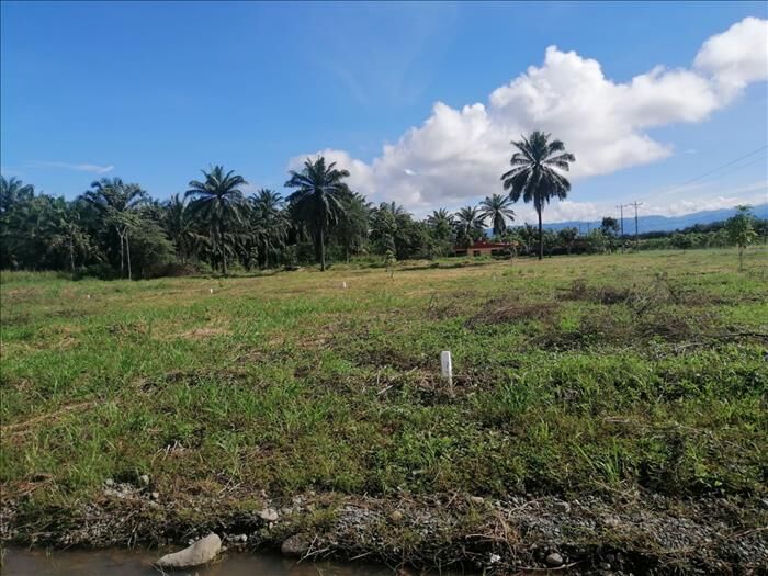 Lotes a la Venta- La Corona, Parrita- Últimos 4 en Parrita, Puntarenas — ₡ 8 150 000