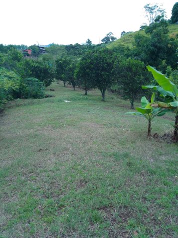 ​Exclusividad y Naturaleza: Terreno de 4,216 m² en Atenas en Atenas, Alajuela — ₡ 75 000 000