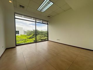 ESCAZÚ, SAN RAFAEL, ALQUILER DE OFICINAS 821 M2 en San Rafael, Escazú, San José — $11,060 - Foto 4 de 19