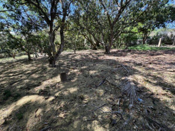 Lote en venta plano con ubicación estratégica en Piedades de Santa Ana #26-1867 GS in Piedades, Santa Ana, San José — $490,000