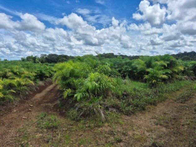 FINCA EN VENTA, GRECIA ALAJUELA, COD#26-834 in Río Cuarto, Alajuela — $2,135,000