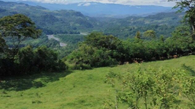Venta de finca en Santa Teresita de Turrialba. RAH 26-1043  in Santa Teresita, Turrialba, Cartago — ₡ 232 430 000