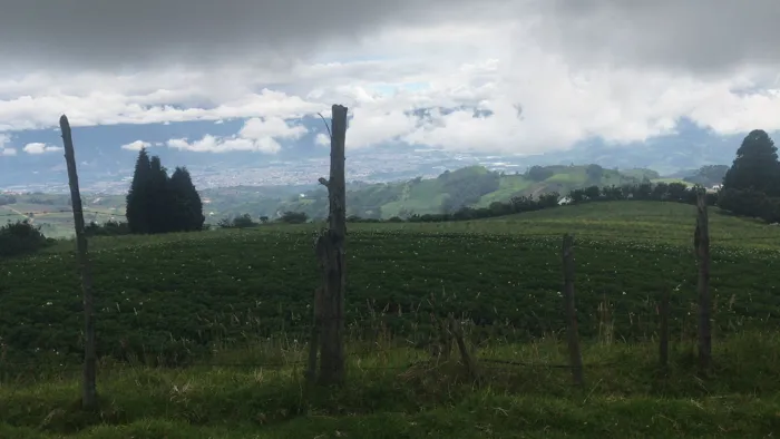 Las Pavas farm, Llano Grande de Cartago in Llano Grande, Cartago — ₡ 250 000 000