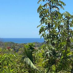VENTA DE LA MEJOR PROPIEDAD DE COROZALITO - OPORTUNIDAD en Bejuco, Nandayure, Guanacaste — $2,400,000 - Foto 4 de 29