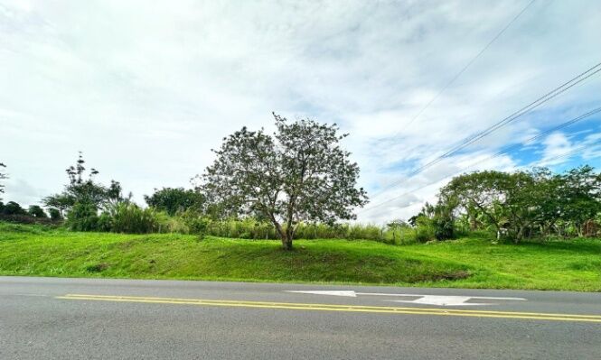 SE VENDE LOTE DE USO MIXTO EN SAN PABLO, HEREDIA, COD#25-729 in San Pablo, Heredia — $33,500,000